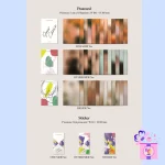 SEVENTEEN – Your Choice [8th Mini Album] (Random ver.) - Image 5