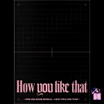 BLACKPINK - How You Like That (SPECIAL EDITION)