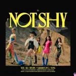 itzy 全員　サイン　アルバム　notshy itzy 全員サインアルバムnotshy