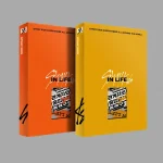 Stray Kids - IN生 (In Life Standard Version)