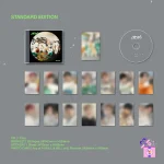 ENHYPEN - Sadame (Japanese Album) [Standard Edition] - Image 2