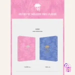 KINGDOM - History of Kingdom : PartⅥ. Mujin - Image 2