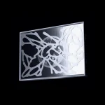 XG - NEW DNA (1st Mini Album) [Limited Edition] - Image 2