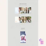 cignature - Us in the Summer (4th EP Album) + Poster - Image 5