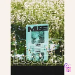 Jimin (BTS) - MUSE (2nd Solo Album) - Image 2