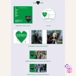 SEVENTEEN - Shohikigen (消費期限 Limited Edition) [Japan 4th Single Album] - Image 5