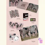 ARTMS - Club Icarus [1st Mini Album] - Image 5