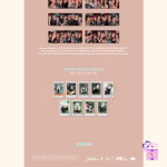 &TEAM – Back to Life (Photocard Box Mini CD-R Ver.) [1st Mini Album] - Image 4